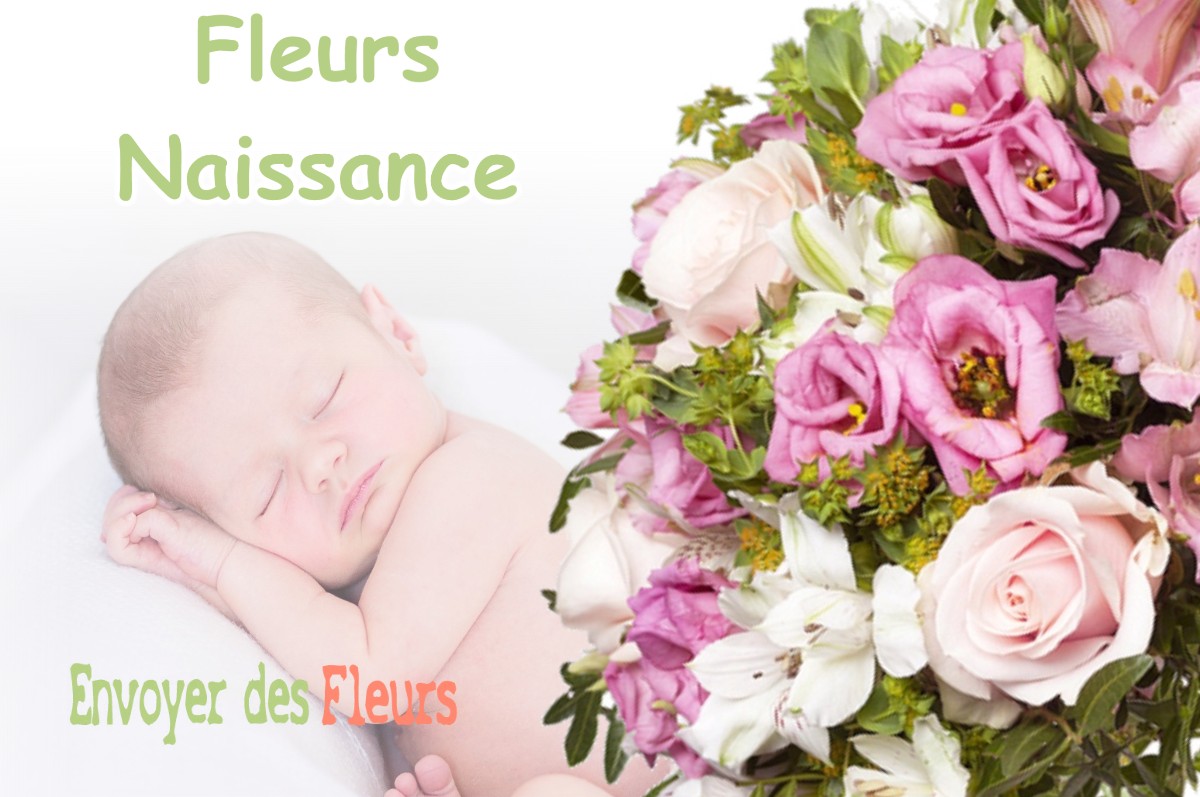 lIVRAISON FLEURS NAISSANCE à BERRE-L-ETANG